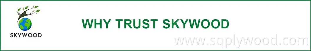 12/18mm E0 Black Brown Anti Slip Waterproof Glossy Laminated Basswood Mersawa Mahogany Eucalyptus Beech Birch Poplar Melamine Phenolic Film Faced Coated Plywood